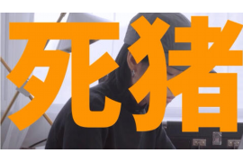 上蔡专业讨债公司有哪些核心服务？