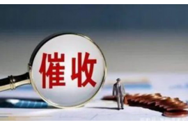 上蔡上蔡的要账公司在催收过程中的策略和技巧有哪些？